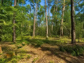Prodej pozemku pro bydlení, Hradištko, Kersko, 4428 m2