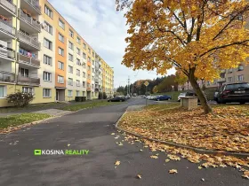 Prodej bytu 3+1, Sokolov, Mánesova, 64 m2
