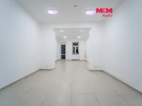 Pronájem obchodního prostoru, Plzeň - Jižní Předměstí, Tylova, 36 m2