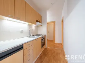 Pronájem bytu 3+1, Brno, Běly Pažoutové, 74 m2