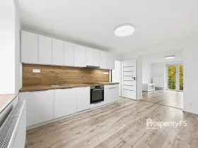 Pronájem bytu 2+1, Kladno, Petrohradská, 54 m2