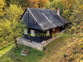 Prodej chaty, Hovězí, 281 m2