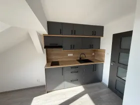 Prodej bytu 2+kk, Plzeň, Rokycanská, 51 m2