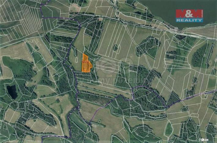 Prodej trvalého travního porostu, Chanovice - Defurovy Lažany, 4933 m2