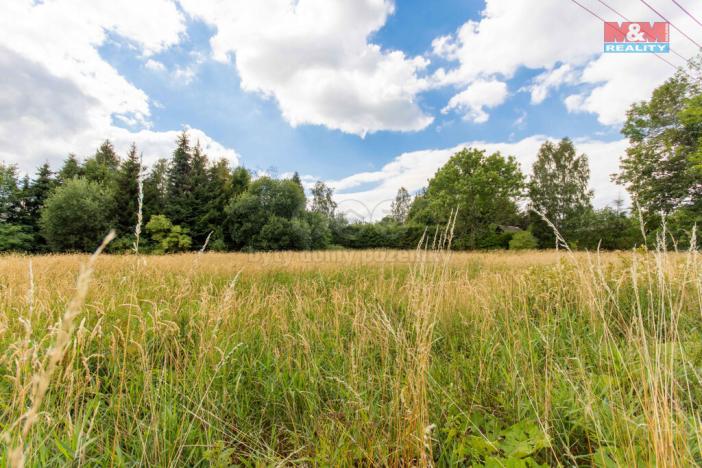 Prodej pozemku pro bydlení, Světlá Hora - Dětřichovice, 2903 m2