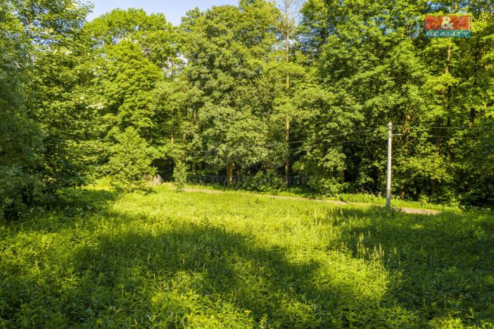 Prodej trvalého travního porostu, Hodkovice nad Mohelkou, 646 m2