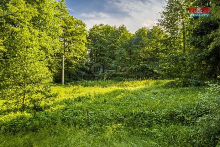 Prodej trvalého travního porostu, Hodkovice nad Mohelkou, 646 m2