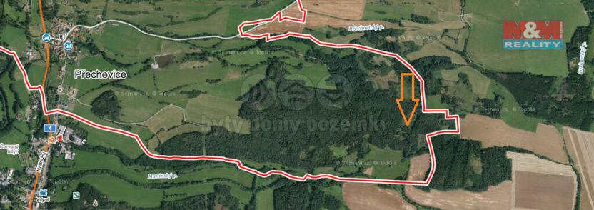 Prodej lesa, Přechovice, 4046 m2