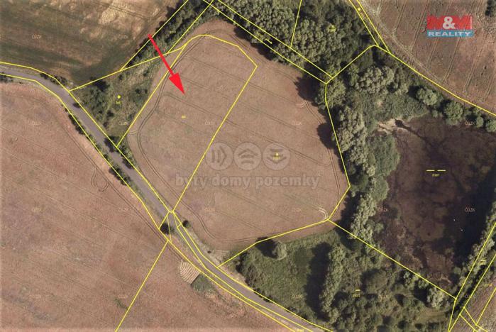 Prodej pole, Mašťov, 8153 m2