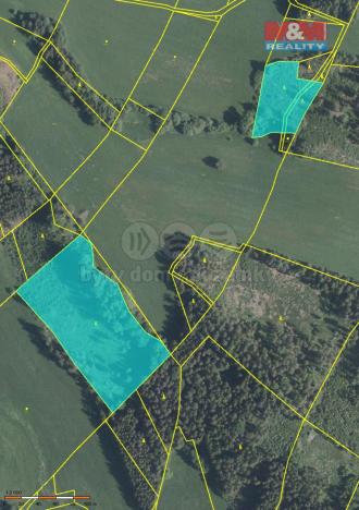 Prodej lesa, Stará Paka, 20974 m2