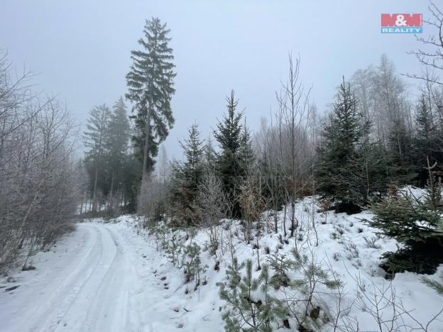 Prodej lesa, Pecka, 10412 m2