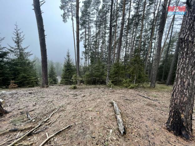 Prodej lesa, Pecka, 20194 m2