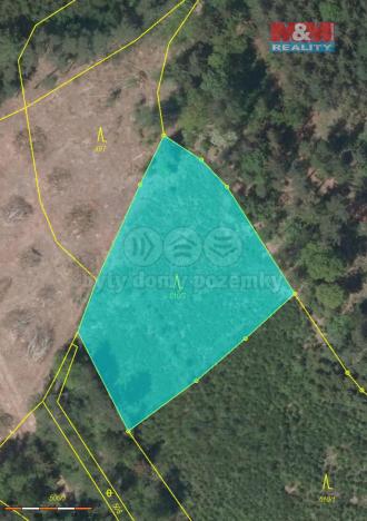 Prodej lesa, Pecka, 20194 m2