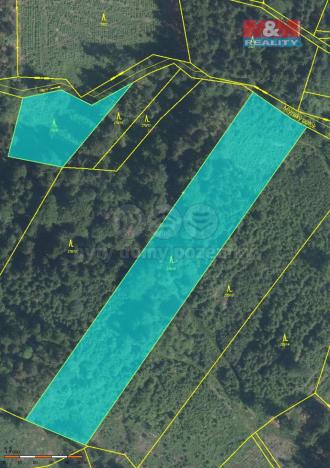 Prodej lesa, Záhoří - Smrčí, 12219 m2