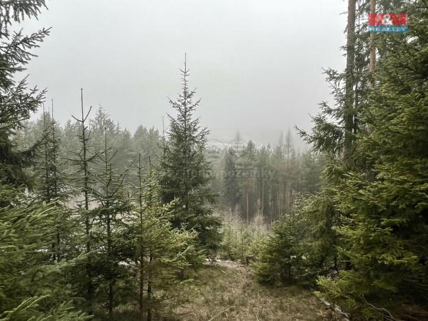 Prodej lesa, Úbislavice, 13753 m2