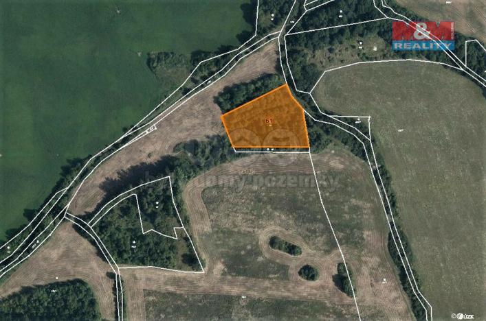 Prodej lesa, Mašťov, 4840 m2