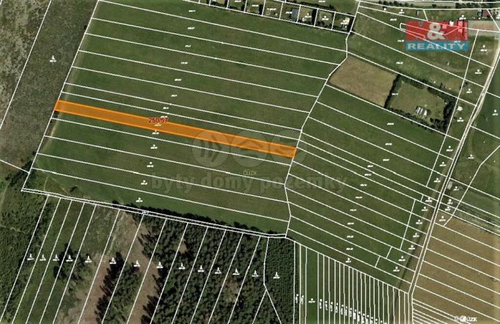 Prodej trvalého travního porostu, Velenov, 2885 m2