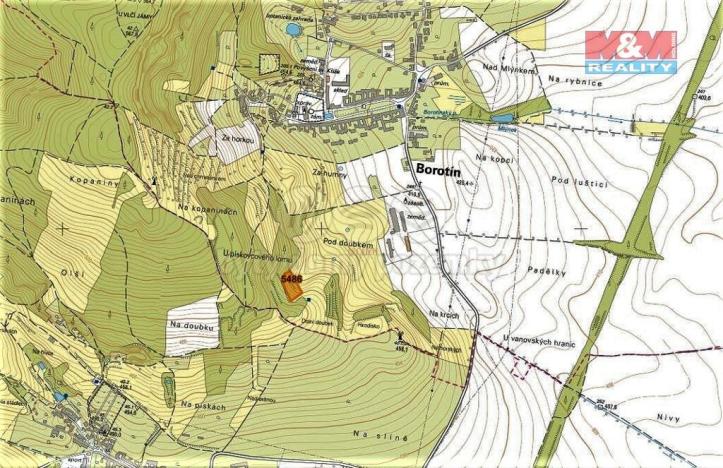 Prodej trvalého travního porostu, Borotín, 4646 m2