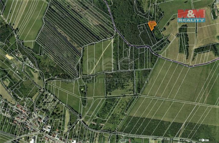 Prodej lesa, Borotín, 1374 m2