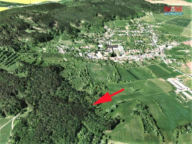 Prodej lesa, Borotín, 1374 m2