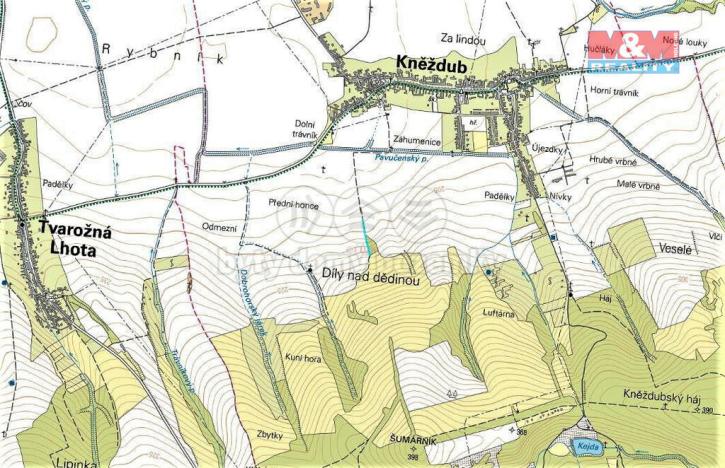 Prodej zemědělské půdy, Kněždub, 1981 m2