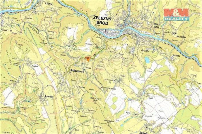 Prodej lesa, Koberovy, 3547 m2