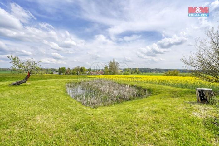 Prodej zemědělské půdy, Ostrov u Bezdružic - Pláň, 6672 m2