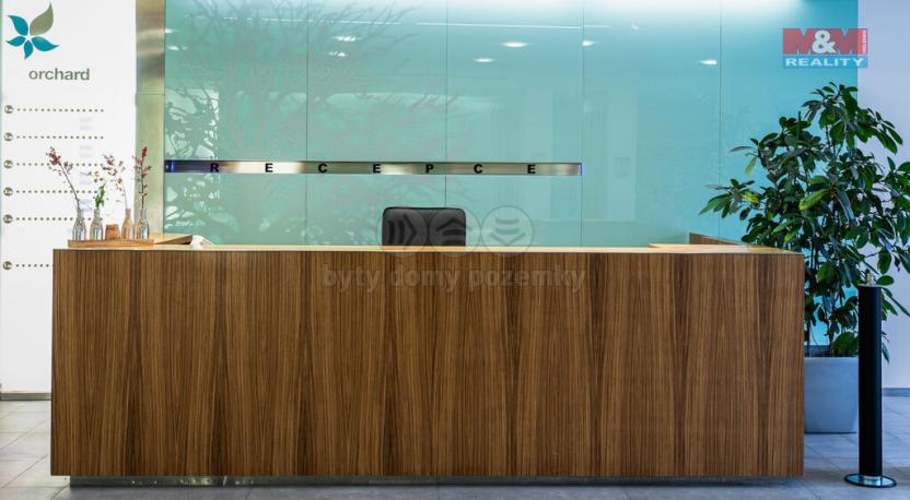 Pronájem kanceláře, Ostrava - Moravská Ostrava, Hornopolní, 1600 m2