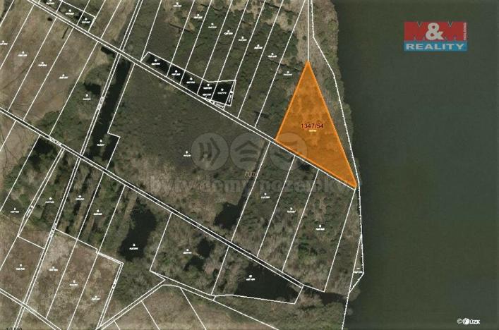 Prodej trvalého travního porostu, Záblatí, 5015 m2