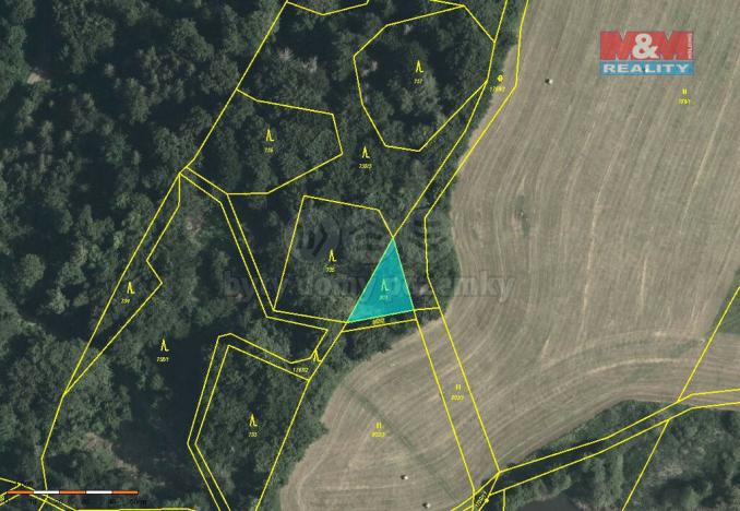 Prodej lesa, Horní Studénky, 78705 m2