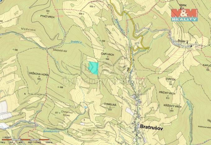 Prodej lesa, Bratrušov, 19245 m2