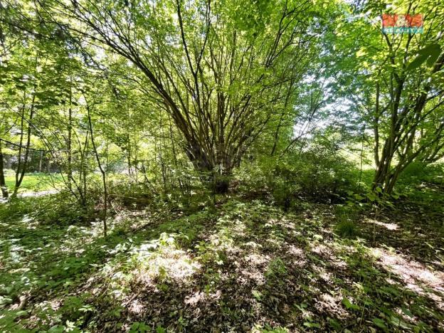 Prodej zahrady, Chřibská, 1281 m2