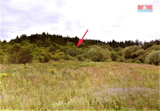 Prodej trvalého travního porostu, Jankovice, 4420 m2