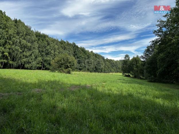 Prodej louky, Petrovice u Karviné - Prstná, 7691 m2