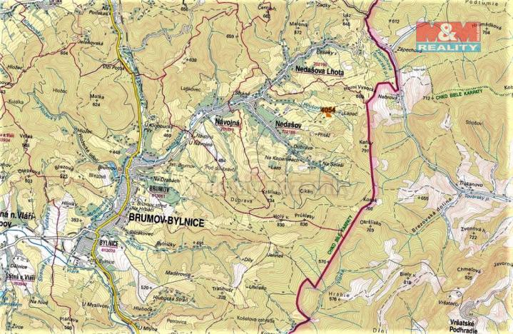 Prodej trvalého travního porostu, Nedašov, 1151 m2