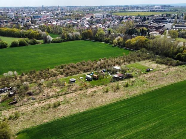 Prodej zahrady, Olomouc, 476 m2