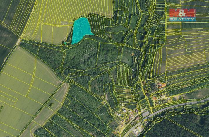 Prodej lesa, Lhota, 9823 m2