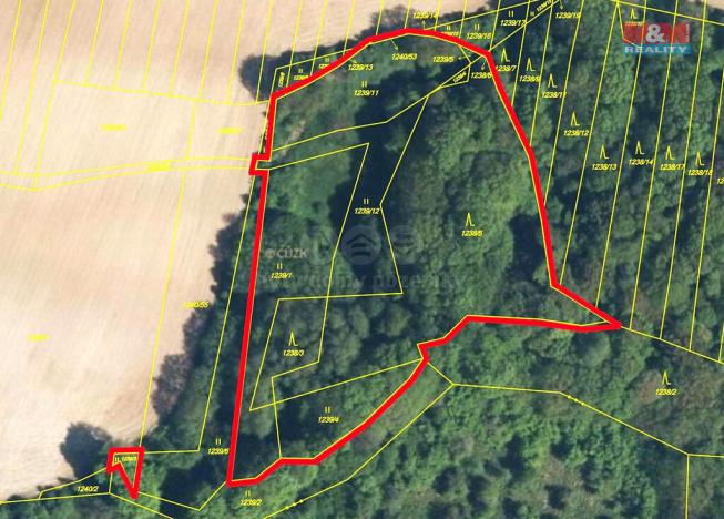 Prodej lesa, Lhota, 9823 m2