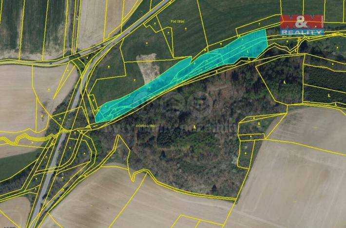 Prodej trvalého travního porostu, Sedliště, 8352 m2