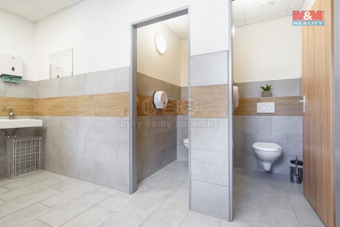 Pronájem komerční nemovitosti, Vřesina, Ovocná, 635 m2