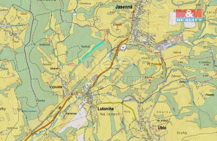 Prodej lesa, Lutonina, 13453 m2