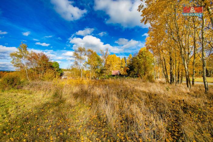 Prodej trvalého travního porostu, Krsy, 1072 m2
