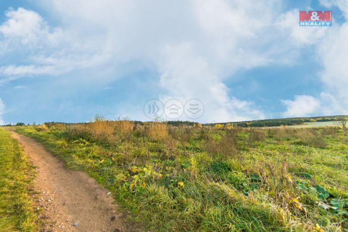 Prodej trvalého travního porostu, Vysoká Libyně, 672 m2