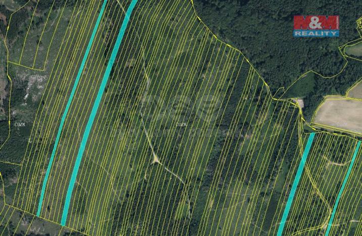 Prodej lesa, Nová Hradečná, 28654 m2