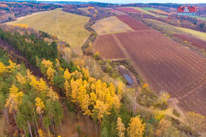 Prodej lesa, Tuchořice, 2921 m2
