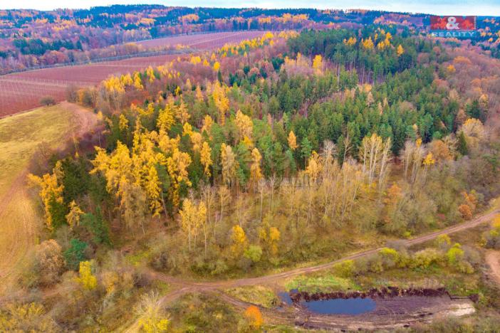 Prodej lesa, Tuchořice, 2921 m2