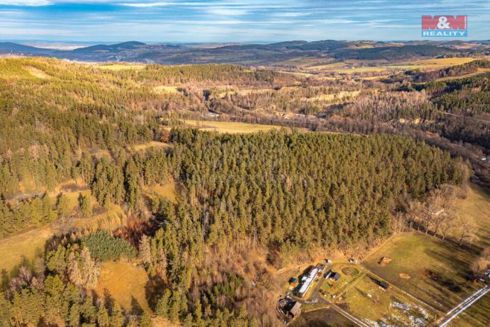 Prodej lesa, Malenice, 30891 m2