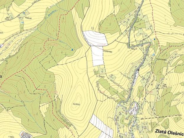 Prodej podílu lesa, Zlatá Olešnice, 569 m2