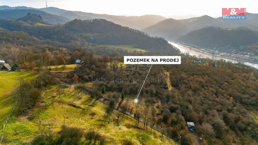 Prodej zemědělské půdy, Děčín - Děčín XXIX-Hoštice nad Labem, 3000 m2