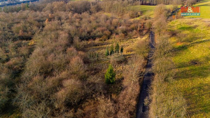 Prodej zemědělské půdy, Děčín - Děčín XXIX-Hoštice nad Labem, 3000 m2